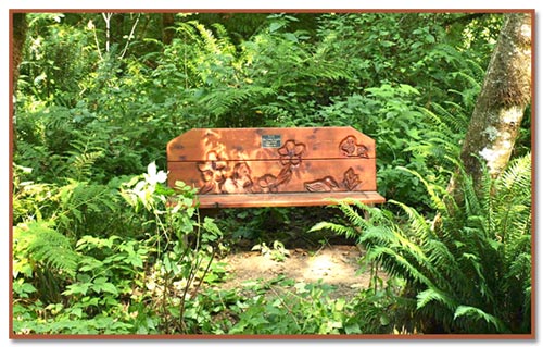 Memorial Bench