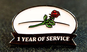 1-year Service Pin